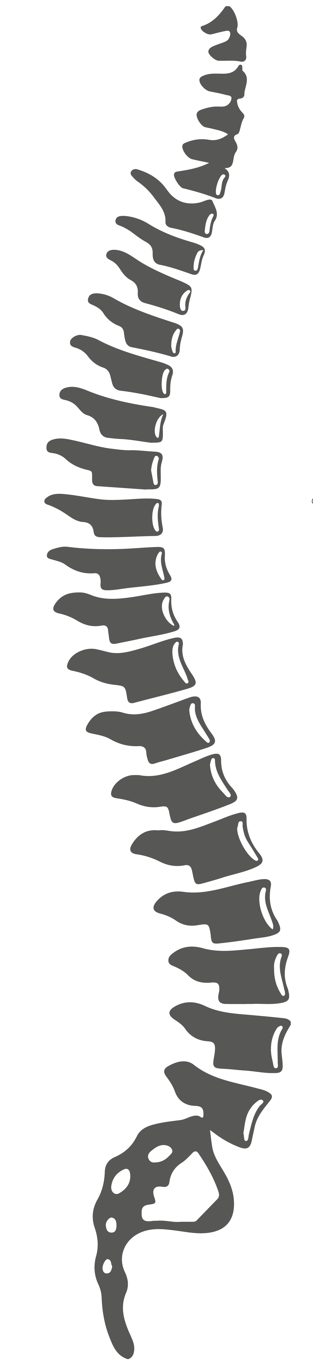 Wirbelsäulentherapie